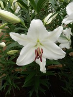 [4255 Avventura No02.JPG]